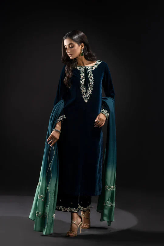 Veezal Embroidered Velvet Dress with Embroidered Karandi Shawl - VL990