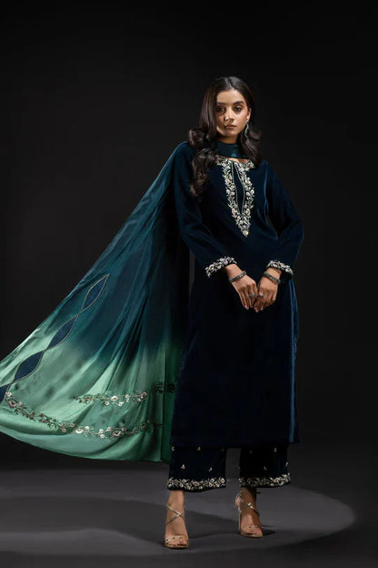 Veezal Embroidered Velvet Dress with Embroidered Karandi Shawl - VL990
