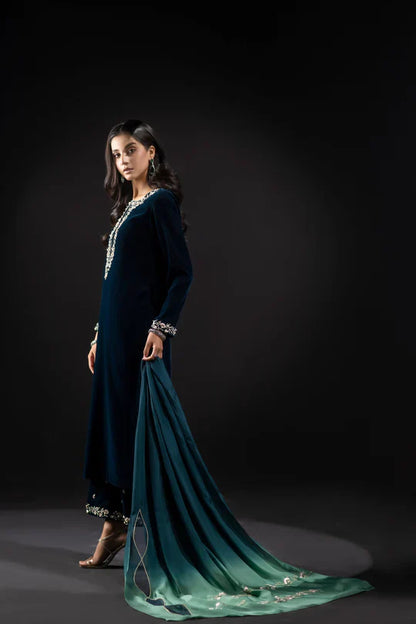 Veezal Embroidered Velvet Dress with Embroidered Karandi Shawl - VL990