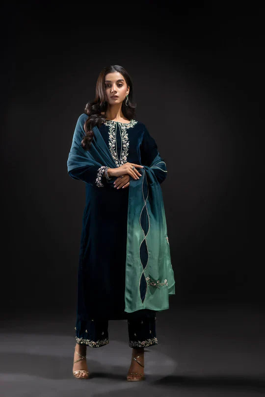 Veezal Embroidered Velvet Dress with Embroidered Karandi Shawl - VL990