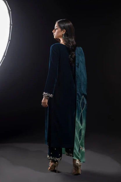 Veezal Embroidered Velvet Dress with Embroidered Karandi Shawl - VL990
