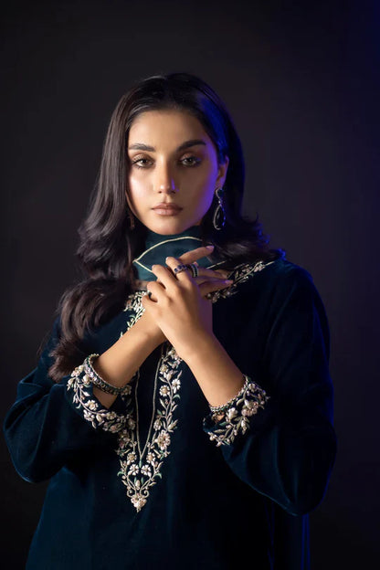 Veezal Embroidered Velvet Dress with Embroidered Karandi Shawl - VL990