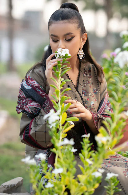 VL739 Bin Ilyas - 3PC Dhanak Embroidered Suit