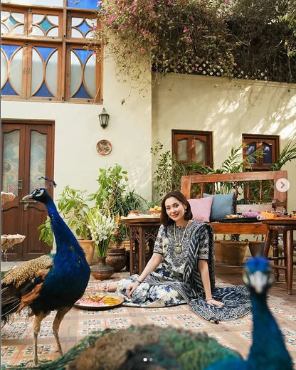 3-Pc Digital Printed with  Embroidered pathces Karandi Dppatta - VL1205