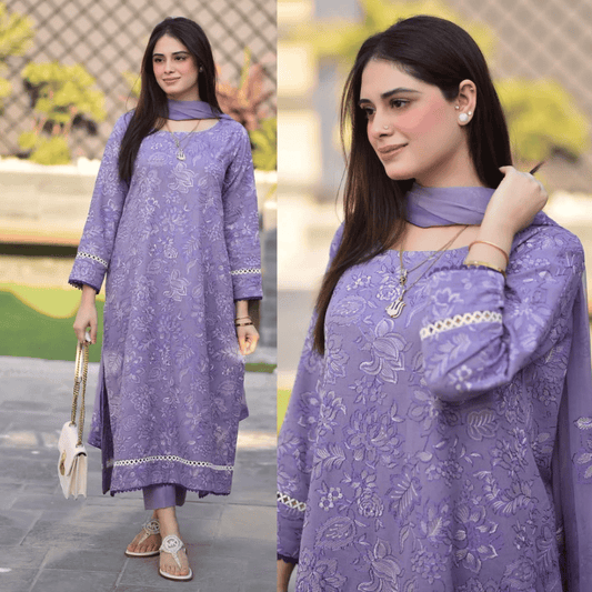 Breeze- 3PC Dhanak Embroidered Suit - VL928