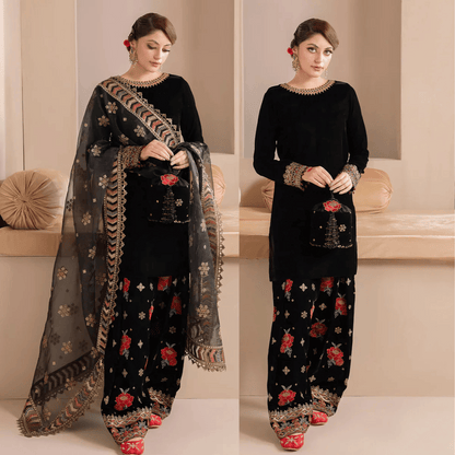 Embroidered Velvet Dress With Organza embroidered Dopata - VL978