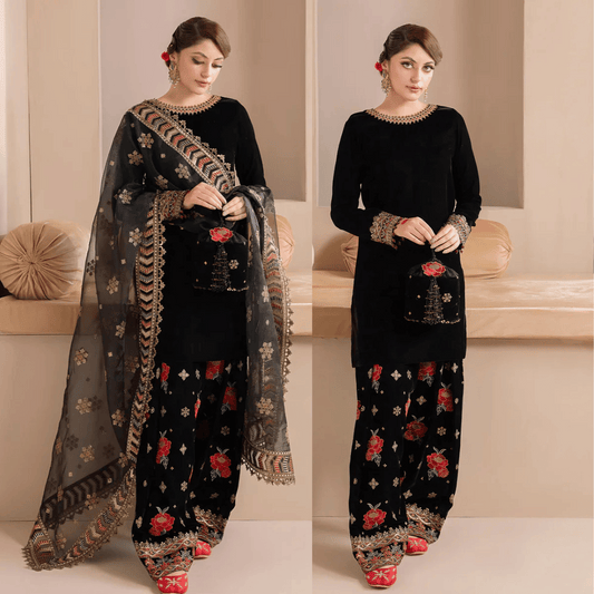 Embroidered Velvet Dress With Organza embroidered Dopata - VL978